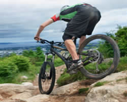 haldon bike hire